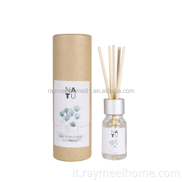 Mini 10 ml di bottiglia in vetro da casa Reed Diffuser Regalo
